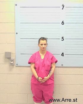 Kimberly Elaine Transeau Mugshot