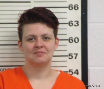 Kristie Allie Swink Mugshot