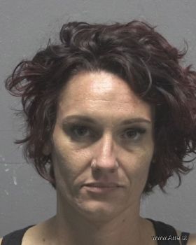 Kristin Leann Davis Mugshot