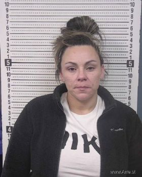 Kristin Lee Deon Mugshot