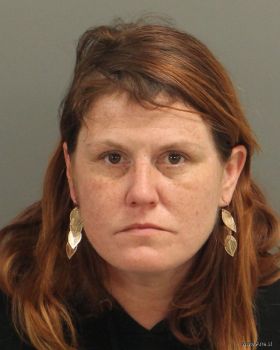 Kristin Marie-nowell Vaughan Mugshot