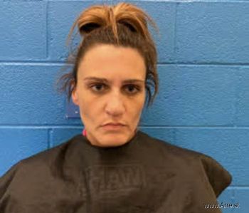 Krystal Renee Johnson Mugshot