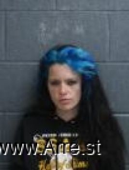 Lori Beth Monroe Mugshot