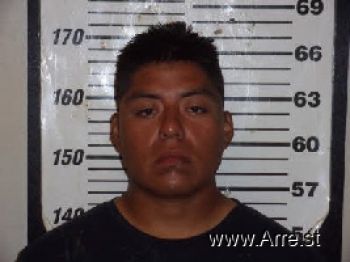 Luis Gerardo Ramos-lopez Mugshot