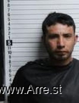 Lusvin Eduardo Perez-morales Mugshot