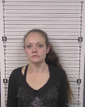 Lacey Cheyenne Johnson Mugshot