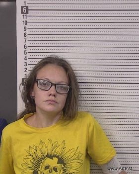 Lacey Cheyenne Johnson Mugshot