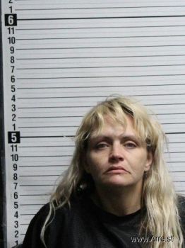 Lacey Leanne Mcelveen Mugshot