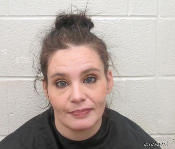 Laura Ann Johnson Mugshot