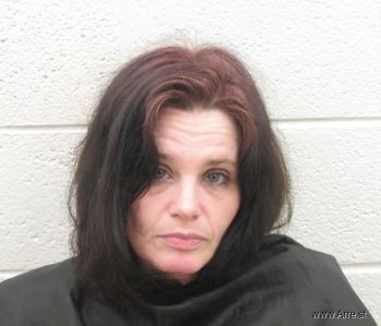 Laura Ann Johnson Mugshot