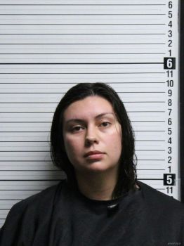 Laura Sophia Johnson Mugshot