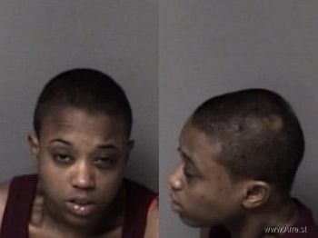 Laurie Ann Wilson Mugshot