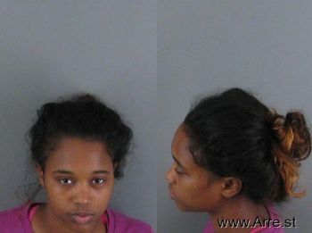 Laurie Ann Wilson Mugshot