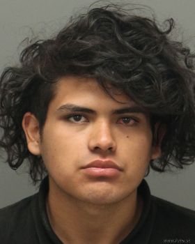 Leonel Lira Jr Rodriguez Mugshot