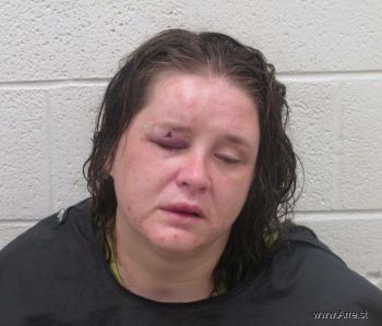 Leslie Suzanne Ollis Mugshot