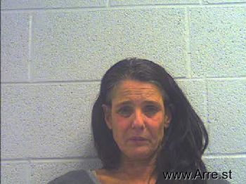 Linda Ann Johnson Mugshot