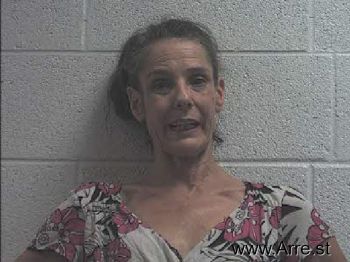 Linda Ann Johnson Mugshot