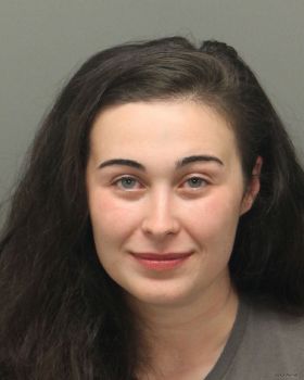 Lindsey Renee Williams Mugshot