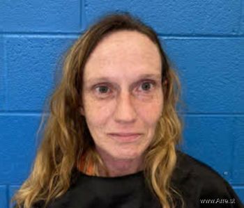 Lisa Suzanne Boylen Mugshot