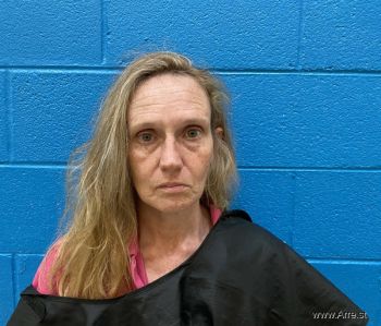 Lisa Suzanne Boylen Mugshot