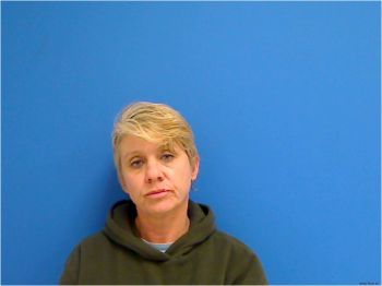 Lisa Renee Baines Cline Mugshot