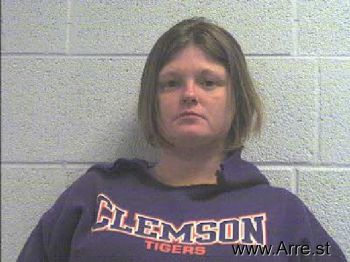 Lisa Ann Franks Mugshot