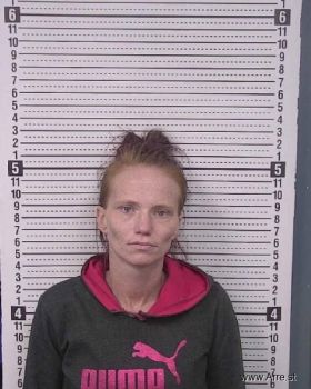 Lisa Nicole Hall Mugshot