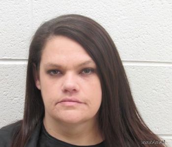 Lisa Marie Holland Mugshot