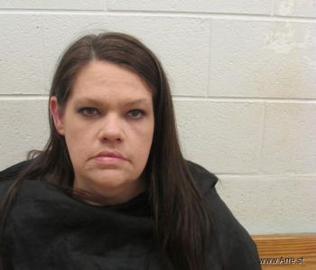 Lisa Marie Holland Mugshot