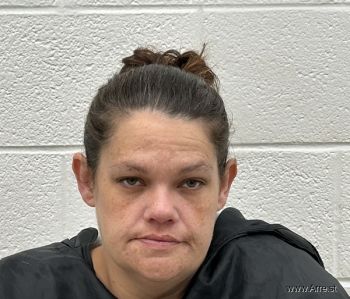 Lisa Marie Holland Mugshot