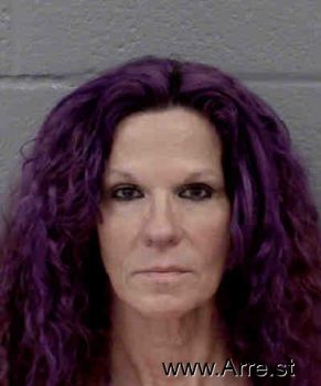 Lisa Anne Miller Mugshot