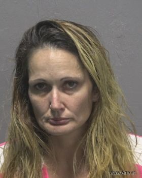 Lisa Marie Stonehill Mugshot