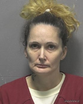 Lisa Marie Stonehill Mugshot