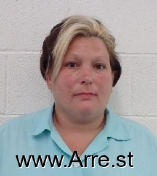 Lisa A Turner Mugshot