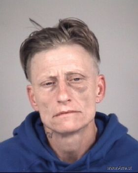 Lisa Carol Ward Mugshot