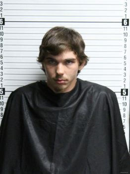 Logan Ray Nickel Mugshot