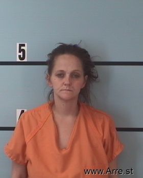 Lori Ann Davis Mugshot