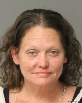 Lori Lee Johnson Mugshot