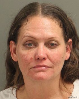 Lori Lee Johnson Mugshot