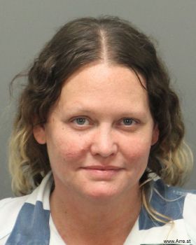 Lori Lee Johnson Mugshot