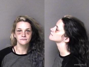 Lori Elizabeth Johnson Mugshot