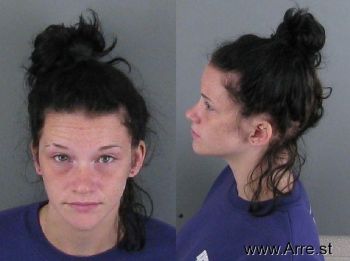 Lori Elizabeth Johnson Mugshot