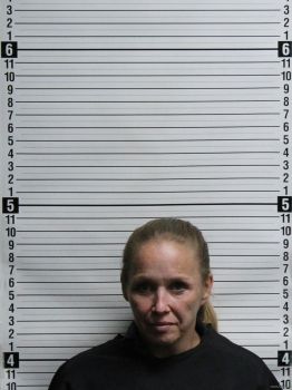 Lorie Ann Johnson Mugshot