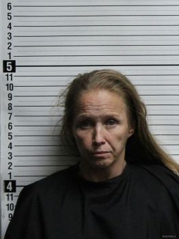 Lorie Ann Johnson Mugshot