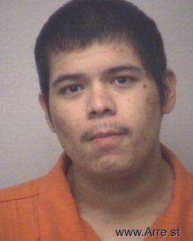 Luciano Ladezma Flores Mugshot