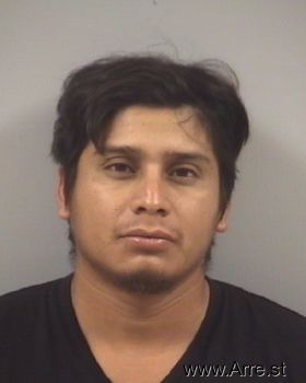 Luis Fernando Anicua-barreral Mugshot