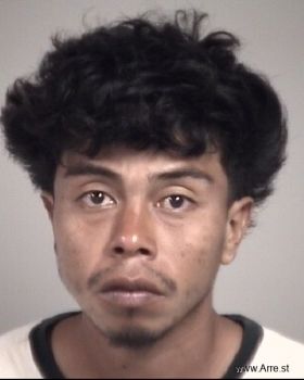 Luis Guillermo Mendoza Hernandez Mugshot