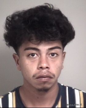 Luis Guillermo Mendoza Hernandez Mugshot