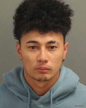 Luis Fernando Padilla-gomez Mugshot