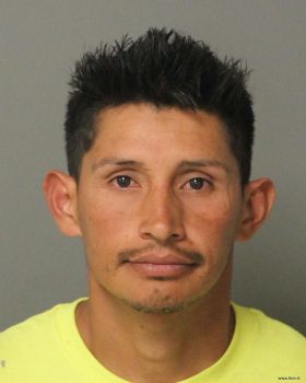 Luis Enrique Palacios-vargas Mugshot